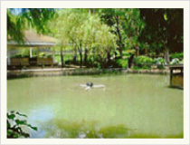 景観池・調整池・潅概用池