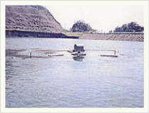 ダム湖