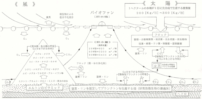 耕水原理のメカニズム